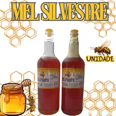 Promoção Mel Garrafa Abelha Silvestre 1,3kg Envio Imediato