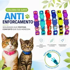 Coleira para Gato Anti Enforcamento Identificação Regulável Pescoço