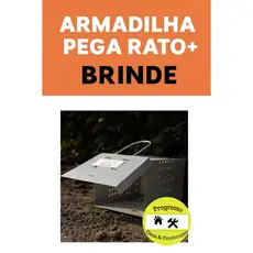 LIMPEZA QUINTAL DE ANIMAIS INDESEJADOS- CAMUNDONGOS-RATOS
