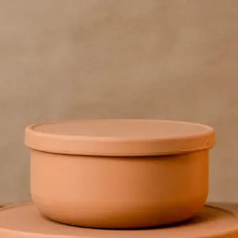 Bowl De Silicone Com Tampa