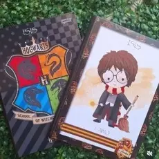kit 2 cadernos personalizados com o tema variado. kit caderno CD brochurao 80 folhas.kit volta as aulas 2026
