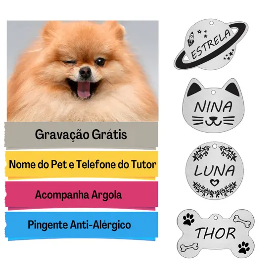 Placa de Identificação Pet Personalizado Plaquinha Pet Gato Cachorro Vários Modelos