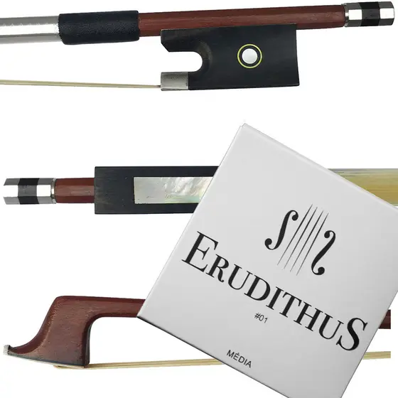 Kit Arco Violino Tarttan Octogonal e Encordoamento Erudithus #01