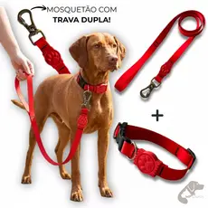 Coleira para Cachorro Ajustável com Guia Reforçada Mosquetão Trava Dupla Pet Cães