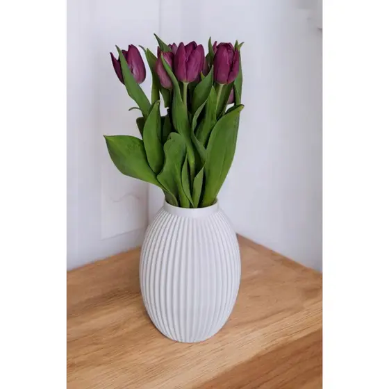 Vaso Andorra Decorativo Modelo Para Plantas Naturais