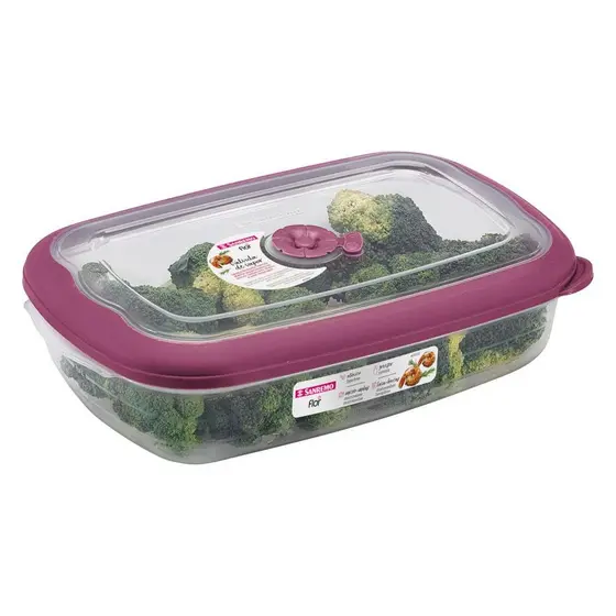 Pote Plástico Retangular Hermético Açaí 2,4L Flor Sanremo