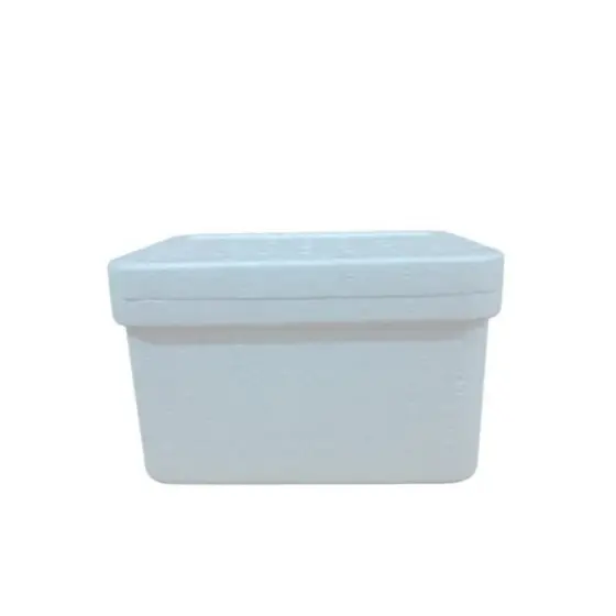 Caixa Térmica EPS 2,5L (2000 gr) – Isopor para Alimentos e Vacinas  Kit com 30 Unidades