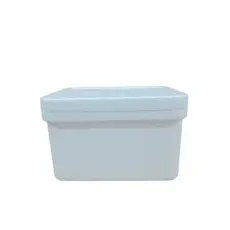 Caixa Térmica EPS 2,5L (2000 gr) – Isopor para Alimentos e Vacinas  Kit com 30 Unidades