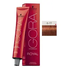 Kit Igora Royal 6-77 Louro Escuro Cobre Extra Coloração Schwarzkopf + Ox 30vol 9% 60ml