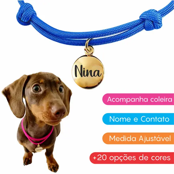 Coleira Para Cachorro Nome Personalizado Identificação Pet