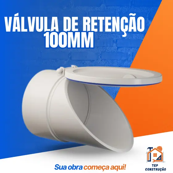 Válvula De Retenção Esgoto Ponta 100mm 4 Polegadas Original