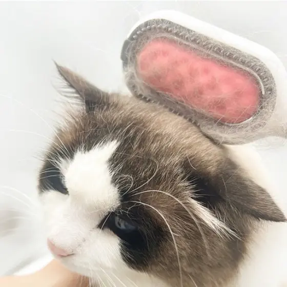 Escova Removedora Tira Pelos Dos Pets Cães E Gatos Promoção