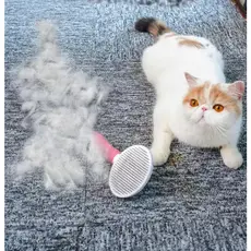 Escova Removedora Tira Pelos Dos Pets /Vestuário Removedor De Pêlos /Luva Nano Magnético  Pelos/ Rolo Tira Pelos Para Roupas Tecidos Lavável/Escova Coçador Pet Parede Gato Massagem Brinquedo