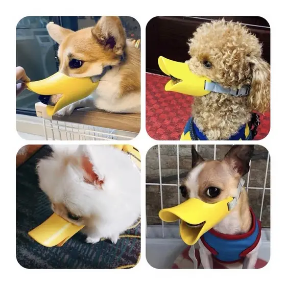 FOCINHEIRA BICO DE PATO COR AMARELA