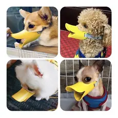 FOCINHEIRA BICO DE PATO COR AMARELA
