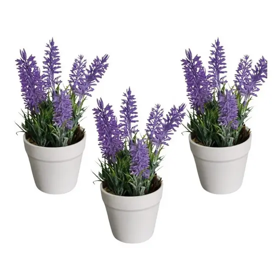 3 Mini Vasos Lembrancinhas Suculenta Planta Lavandas Casa