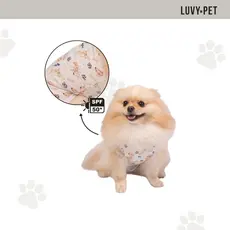 Roupa Para Cachorro Pós Cirúrgica Unissex Proteção UV Castração Pós Operatorio Off-White Cachorrinhos