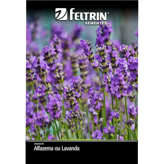 1 Pacote de Semente Sortido de Flores ou Hortaliças Feltrin