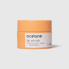 Esfoliante Labial Hidratante - Lip Scrub 15g