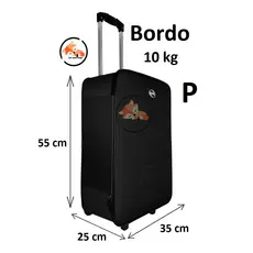 Mala 10kg Viagem BORDO 55x35x25cm Bolsa de Mão ANAC Rodinhas Village - Bordo