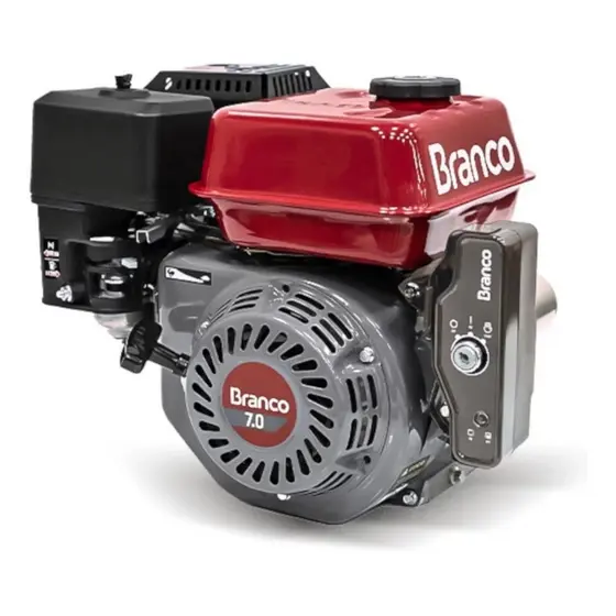 Motor A Gasolina 4t B4t7.0hp Partida Elétrica 7cv Branco