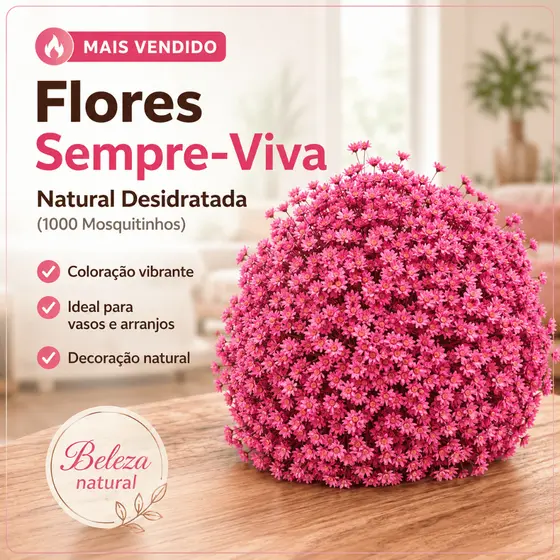 Sempre-Viva Natural Desidratada 1000 Mosquitinhos Decorativos