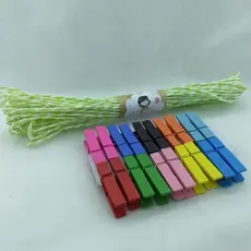 Cordão Varal de Papel de Fotos com 20 Mini Prendedor