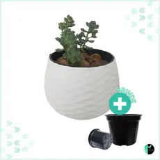 Vaso Cachepot Decorativo P/ Suculentas
