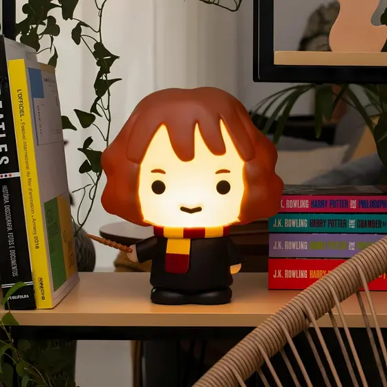 Luminária Hermione Harry Potter Bivolt