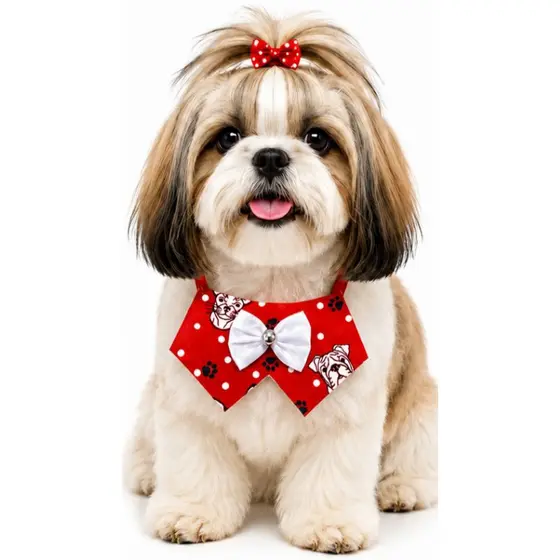 Colarinho (P) pet cão e gato para banho e tosa pet shop kit cores sortidas.ENVIO IMEDIATO.