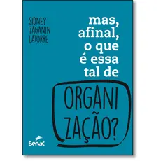 Mas, afinal, o que é essa tal organização?