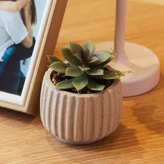Cachepot com Suculenta Artificial Geometry 8cm x 9,5cm Bege
