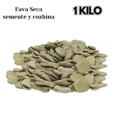 Fava Seca Boliviana Grandes Pra Sementes y Cozinhar