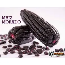 MILHO SEMENTE ESPIGA ROXO 500gr  MAIZ MORADO PERÚ