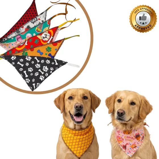 20 Bandanas Pet G Kit Misto Macho e Fêmea Banho e Tosa Cachorro Pet Shop