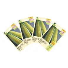 Kit 4 Sementes De Milho Super Doce Confeito Isla 5,2g Cada 100 Sementes Por Kit