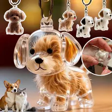 Chaveiro Criativo De Armazenamento De Cabelo Fofo Cachorro Pingente Transparente Para Animais De Estimação