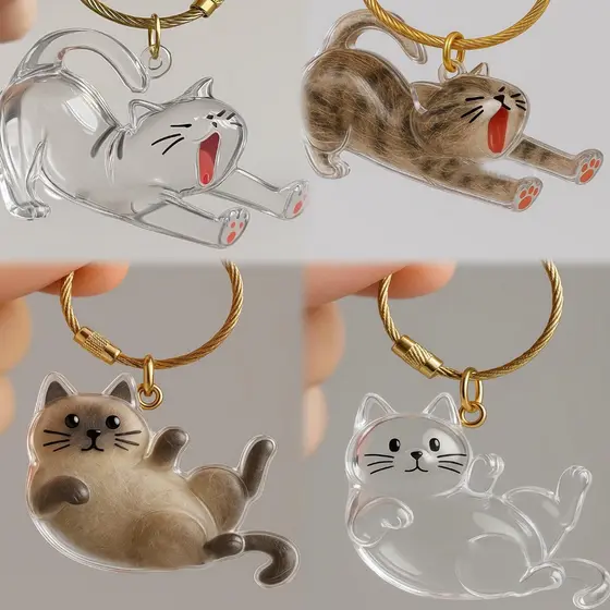Caixa De Armazenamento De Pêlos De Gato Transparente Pórtico gaunt
