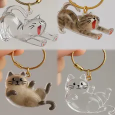 Caixa De Armazenamento De Pêlos De Gato Transparente Pórtico gaunt