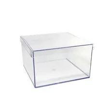 50 Caixas 15x15 acrilica para sobremesa, organizadora e lembrancinhaS