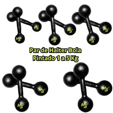 Par Halter Bola Pintado Premium - 1 a 5 Kg / Treino Musculação Peso de Academia C/ 2 Un