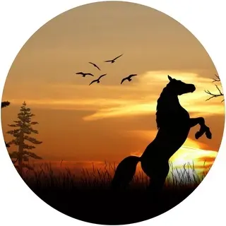 Capa De Estepe Ecosport Crossfox Aircross Dança Da Natureza