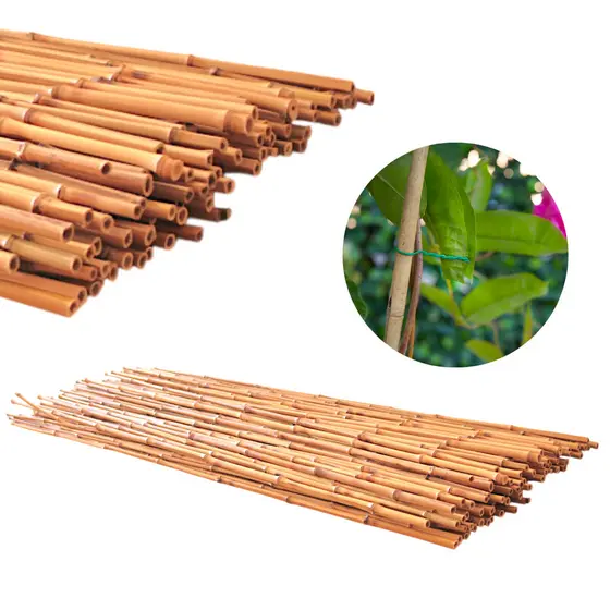 Tutor Estaca De Bambu Para Planta 95cm 10pçs Ponta Grossa