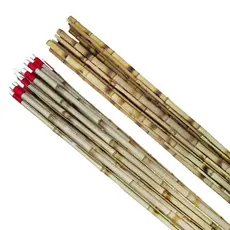 Vara de Pesca Bambu Encaixe de Duas Partes Ponta Fina 2,00 mts Nº1 - 12 Unidades