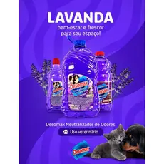 Eliminador de Odores Tira Cheiro Xixi 1 Litro Desomax Limpa Canil Cães Gatos Linha Pet