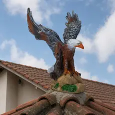 Estatueta Aguia Gavião Asa Aberta Imponente Linda Peça Decorativa Resina Enfeite