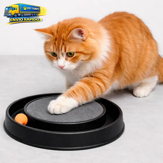 Arranhador para Gatos Redondo com Bolinha Interativo Relax Antiestresse Brinquedos para Gatos
