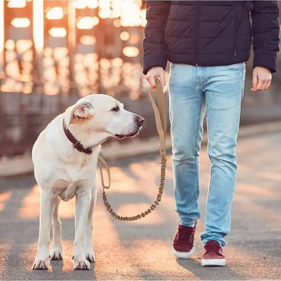 Guia Corda Tática Militar Para Passeio Treinamento Cães Cachorro Grande Médio Porte Resistente
