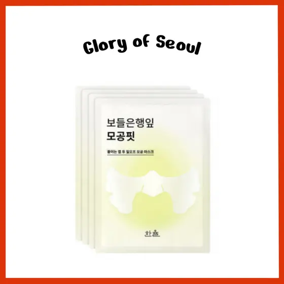HANYUL Ginkgo Conjunto de máscaras de ajuste dos poros, 4ea