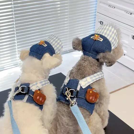 [NOVO]Conjunto De Trela Para Cachorro Gato Roupas De Verão